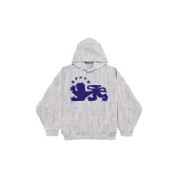 Image 1 of SPORTIVE GREY HOODIE