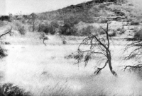 Image 2 of Soledades - Gilles Roudière