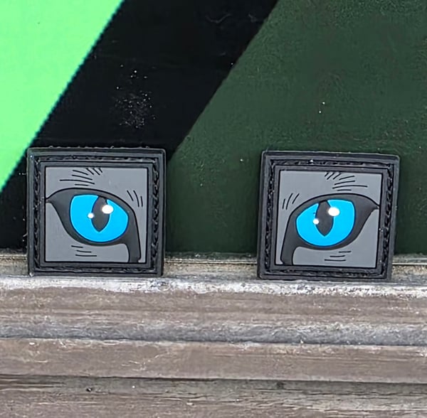 Image of Blue Eyed Behemoth Ranger Eyes