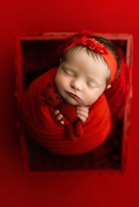 Image 1 of POPPY COLLECTION | PREORDER