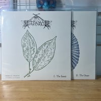 WAXGOAT297 Ifernach (Quebec)) - Dementia Praecox - Double Test Press