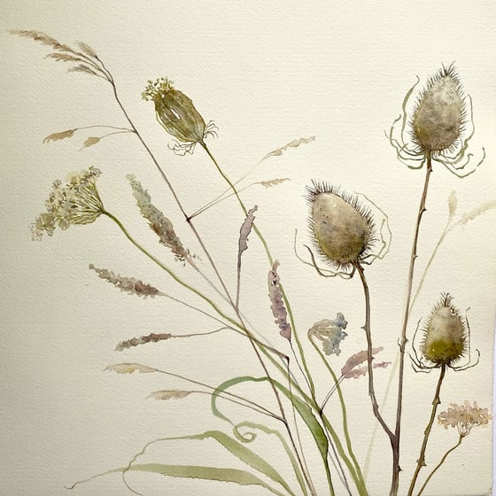 Image of Late Summer Teasels 
