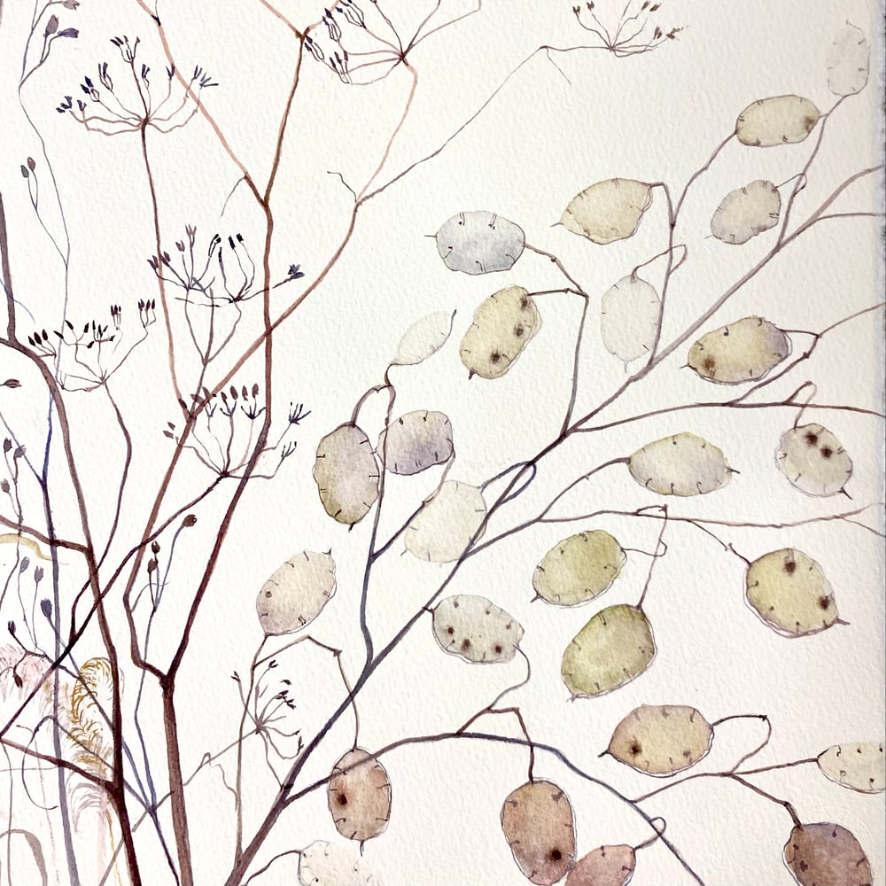 Image of Grasses and Lunaria