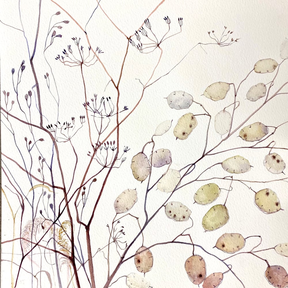 Image of Grasses and Lunaria