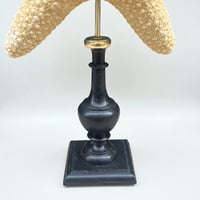 Image 11 of étoile de mer sur socle en bois tourné fin XIXe - Protoreaster nodosus - cabinet de curiosités