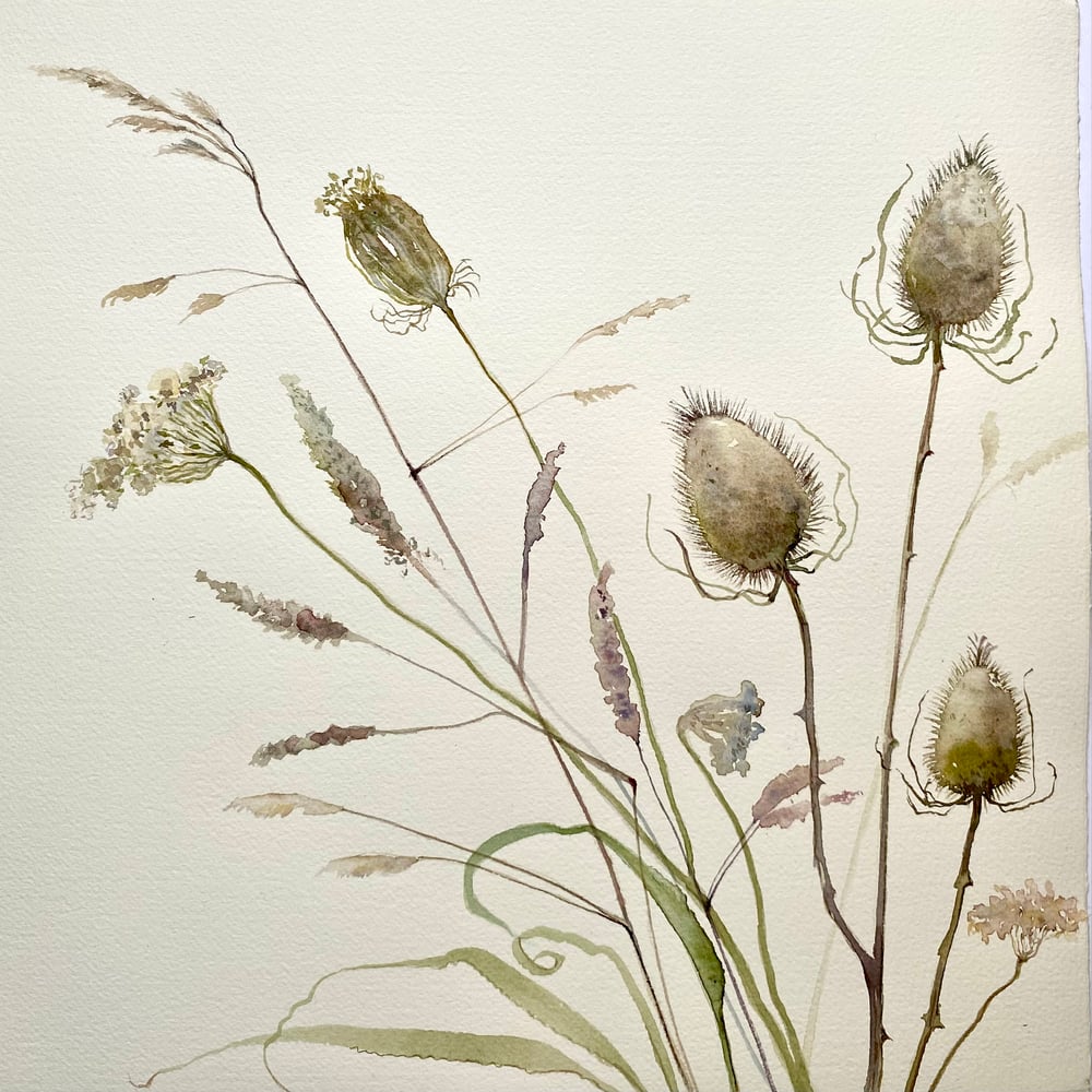 Image of Late Summer Teasels 