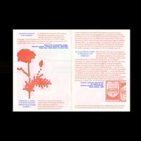 Image 3 of Graphic Matter invite Diane Boivin