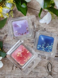 Image 1 of Not Cube, CUTE Melts 