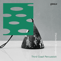 Standard Stoppages — 12" Double Vinyl