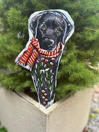 Holiday Garden Lab Fairy Black Shy Face
