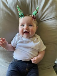 Image 2 of Tree Piggies