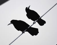 Image 3 of The Silent Treatment - a4 Mounted Print.