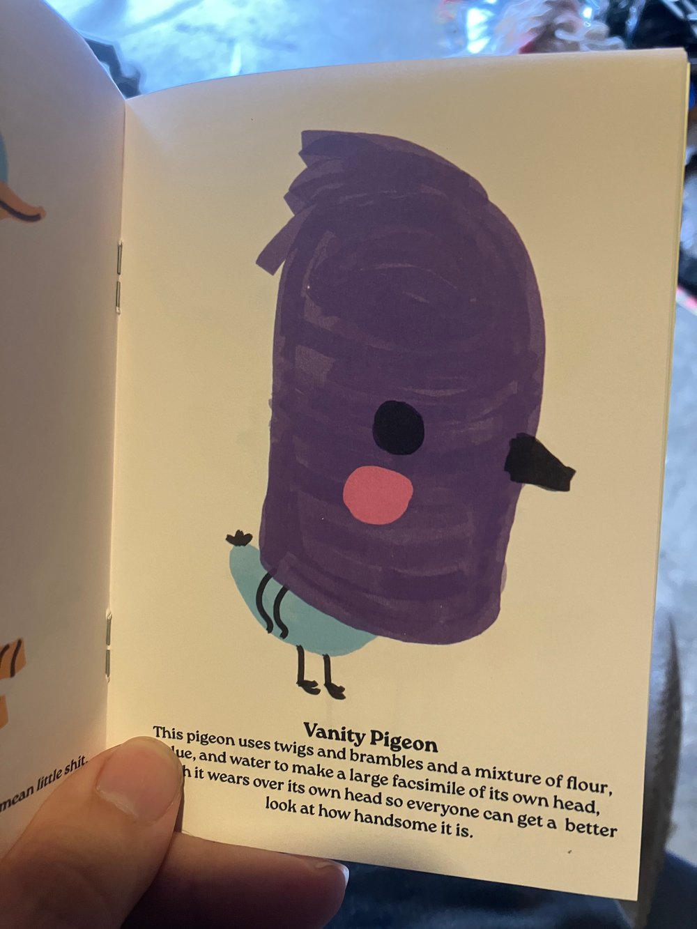 Image of Bird booklet