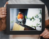 Image 1 of Alert - a4 Mounted Print.