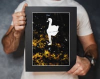 Image 1 of Reflect - a4 Mounted Print.