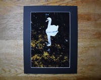 Image 4 of Reflect - a4 Mounted Print.