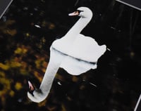 Image 3 of Reflect - a4 Mounted Print.