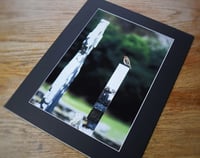 Image 3 of Robin's Rest - a4 Mounted Print.