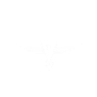 Image 2 of BLK WAR EAGLE CREW