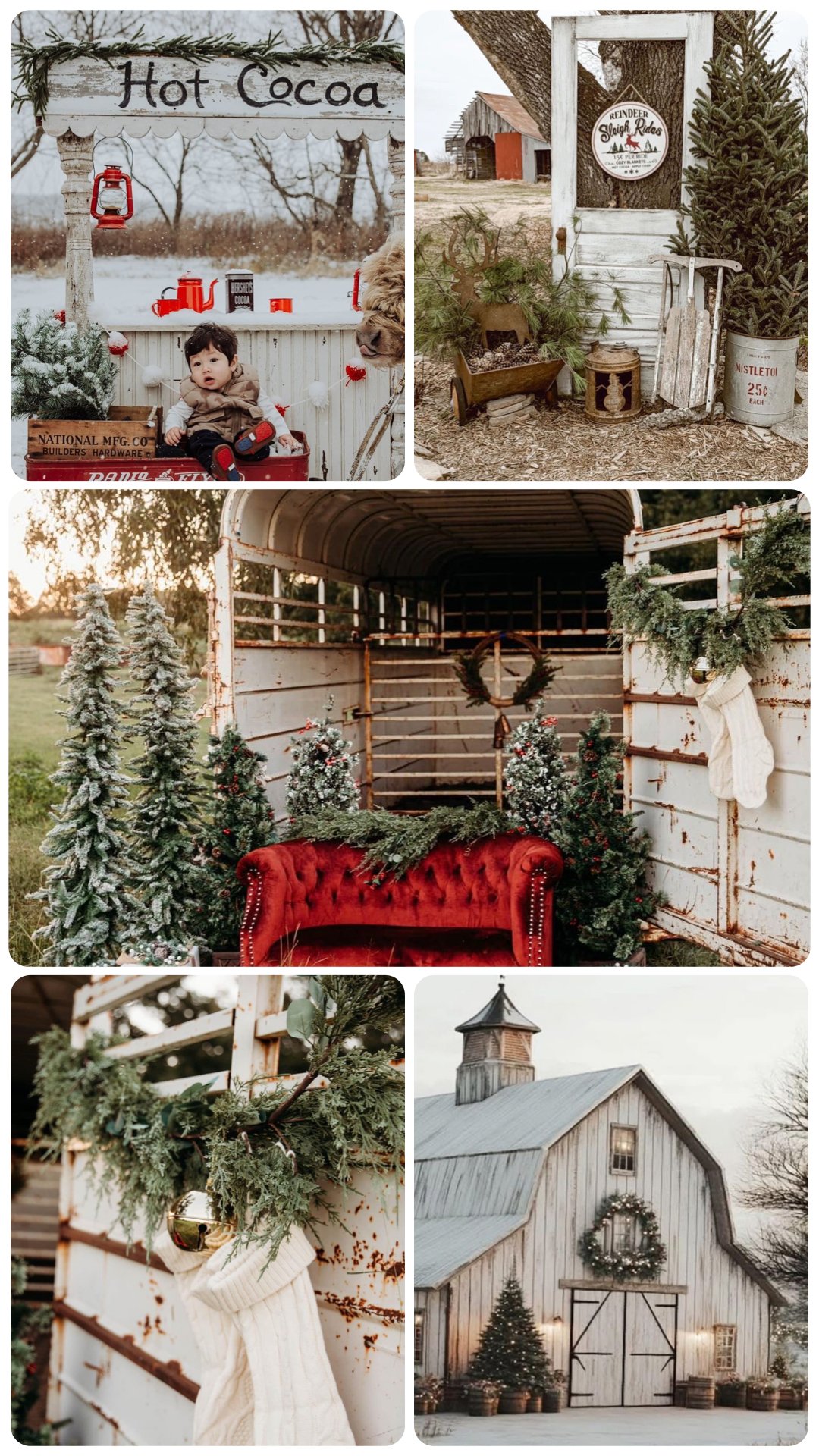 Image of Winter Mini Sessions with Adamson Imagery