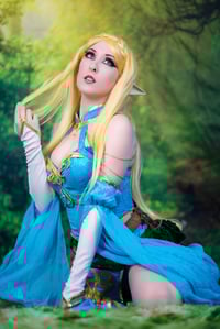 Image 1 of BOTW Zelda Set