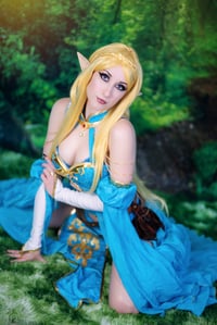 Image 2 of BOTW Zelda Set