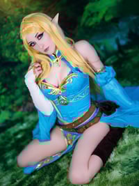 Image 3 of BOTW Zelda Set