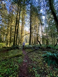 Image 4 of November Breakfast Club : The Tree Agenda