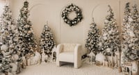 Image 1 of Sunday Nov 16th  Instudio Holiday Mini sessions