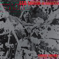 Sad Lovers and Giants "Total Sound" LP