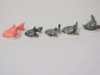 Image 2 of Whale Sharks! - choose one 