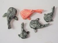 Image 1 of Whale Sharks! - choose one 