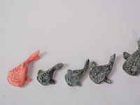 Image 3 of Whale Sharks! - choose one 