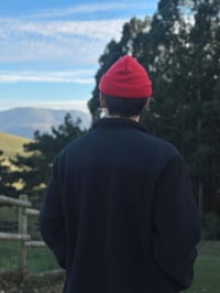 Image 4 of Polar "Fuego"