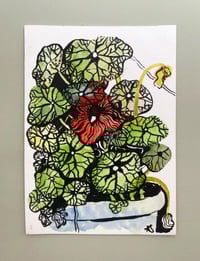 'Nasturtiums in Blue Pot'