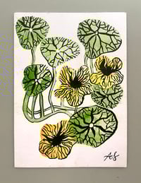 'Yellow Nasturtiums'