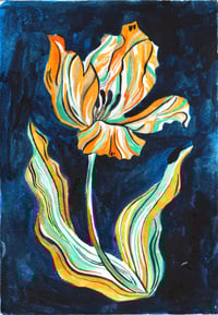 'Tulip on Blue'