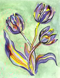 'Tulips on Green'