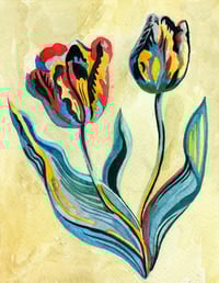 'Two Tulips'