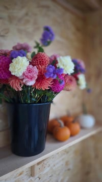 Image 4 of Farm Stand