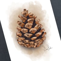 Image 3 of Pinecone 4x6 Mini Print