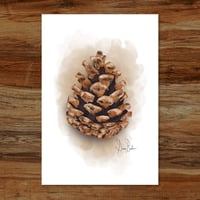 Image 5 of Pinecone 4x6 Mini Print