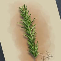 Image 2 of Sprig 4x6 Mini Print