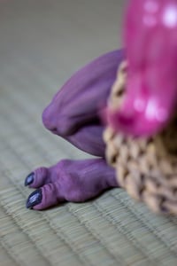 Image 7 of Bakezōri  [PREORDER]