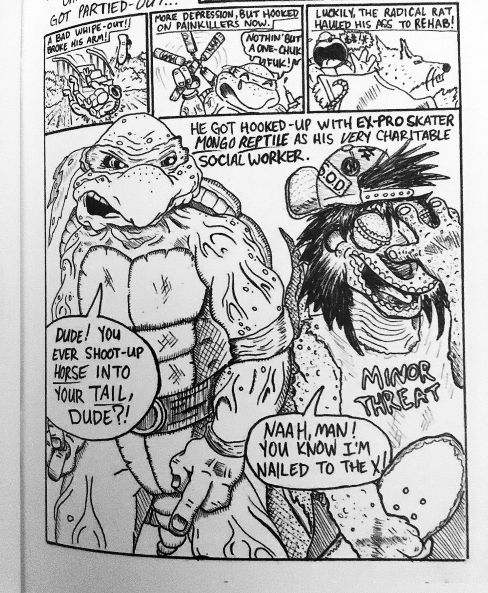 WASHED UP MIDLIFE CRISIS TURTLES 2 Volume SET [DISTRO]