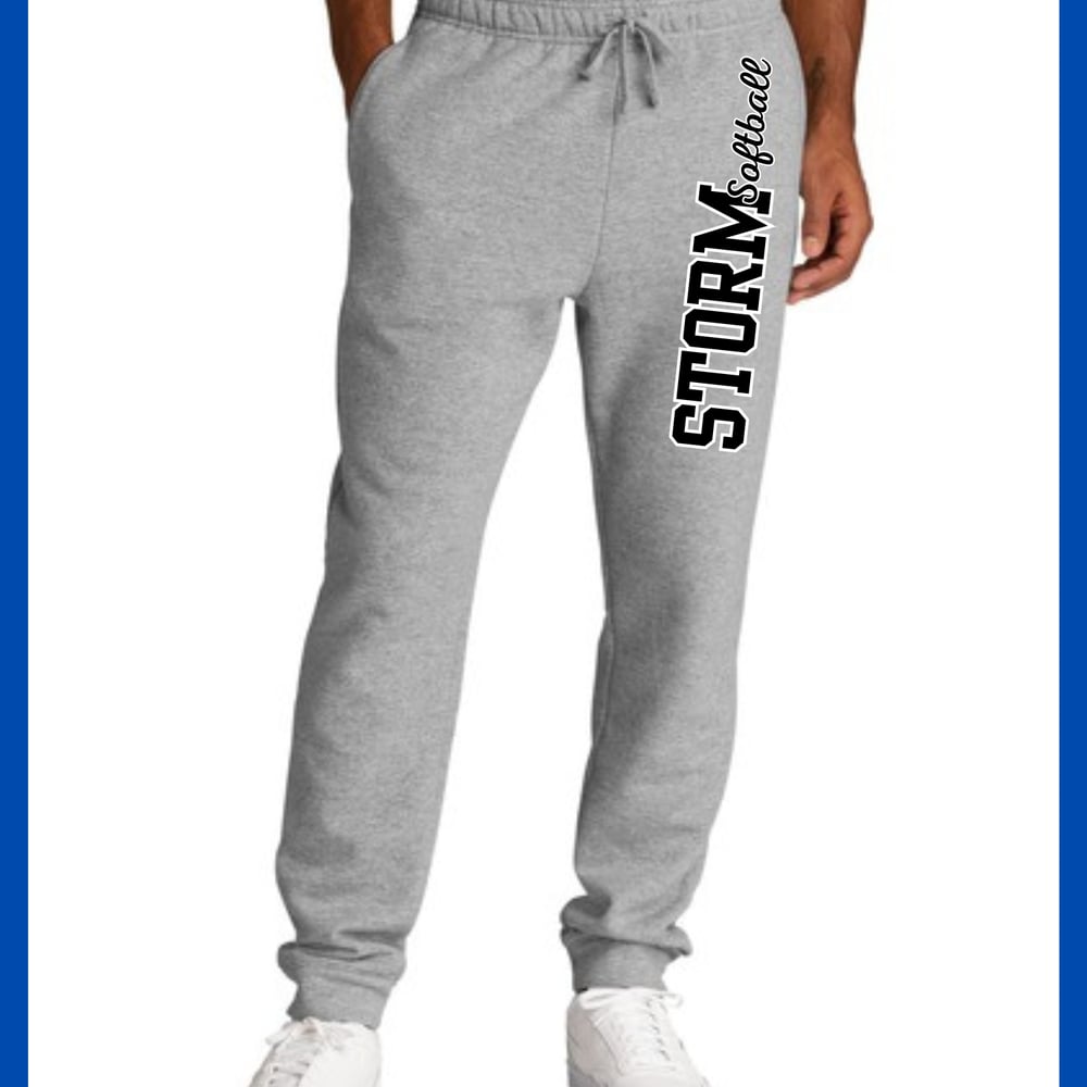Image of Silver Storm Sweat Pants