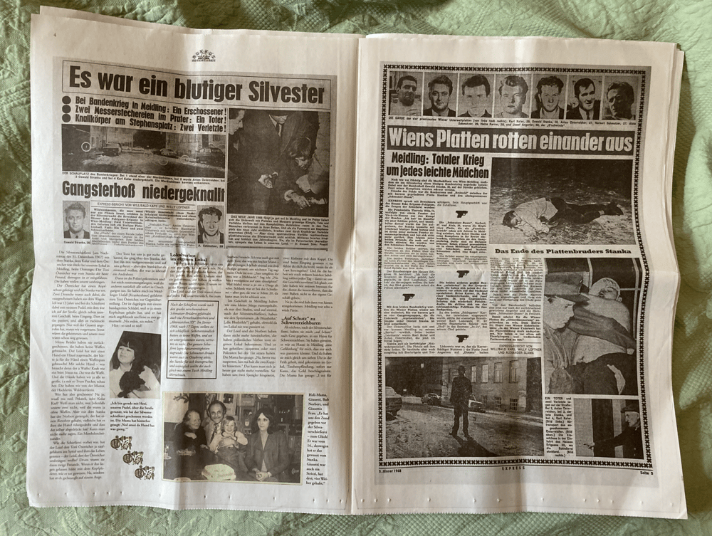 Image of Rokko's Adventures Orchideenausgabe #1: "Schmutzer-Blatt"