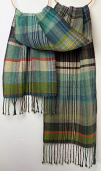 Image 3 of Sea Spaghetti