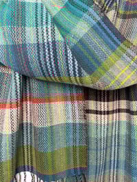 Image 4 of Sea Spaghetti