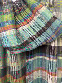 Image 5 of Sea Spaghetti